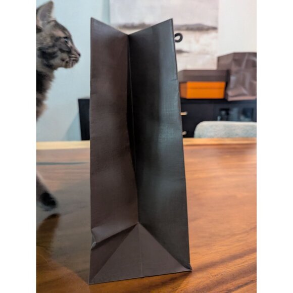 Louis Vuitton Champs-Élysées 100 Ans Brown Paper Shopping Bag W Rope Handles 16 - Picture 5 of 13